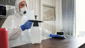 pexels-matilda-wormwood-4099466