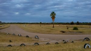 WhatsApp Image 2020-03-16 at 11.18.08