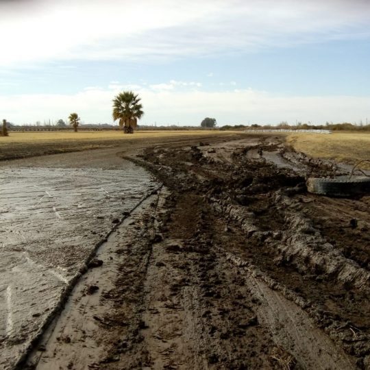 WhatsApp Image 2020-07-08 at 12.42.08