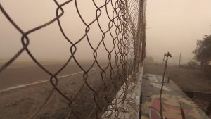 WhatsApp Image 2021-08-18 at 20.59.52 (3)